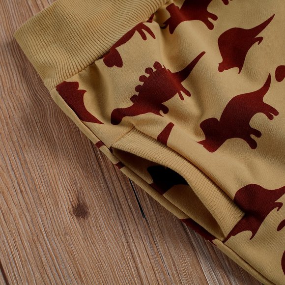 Dinosaurs Boys Hooded Sweatshirt & Pants Outfit Set - Picture 2 of 4